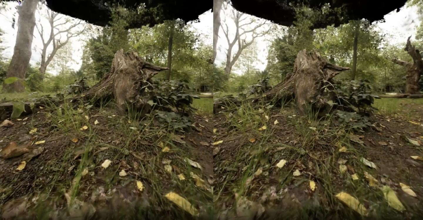 forest gracia vr