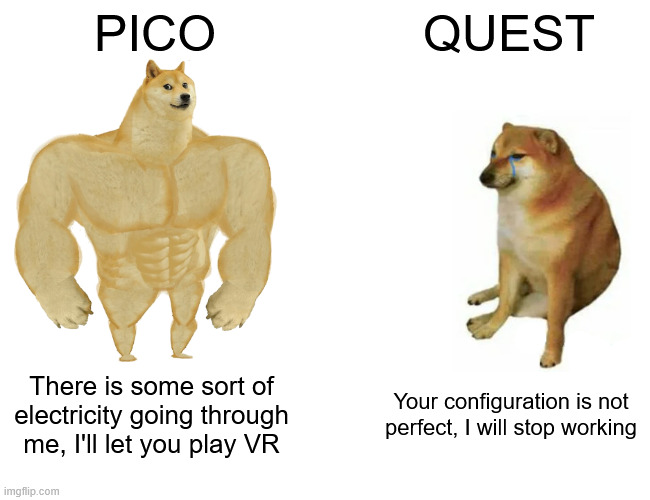 Pico vs Quest na China