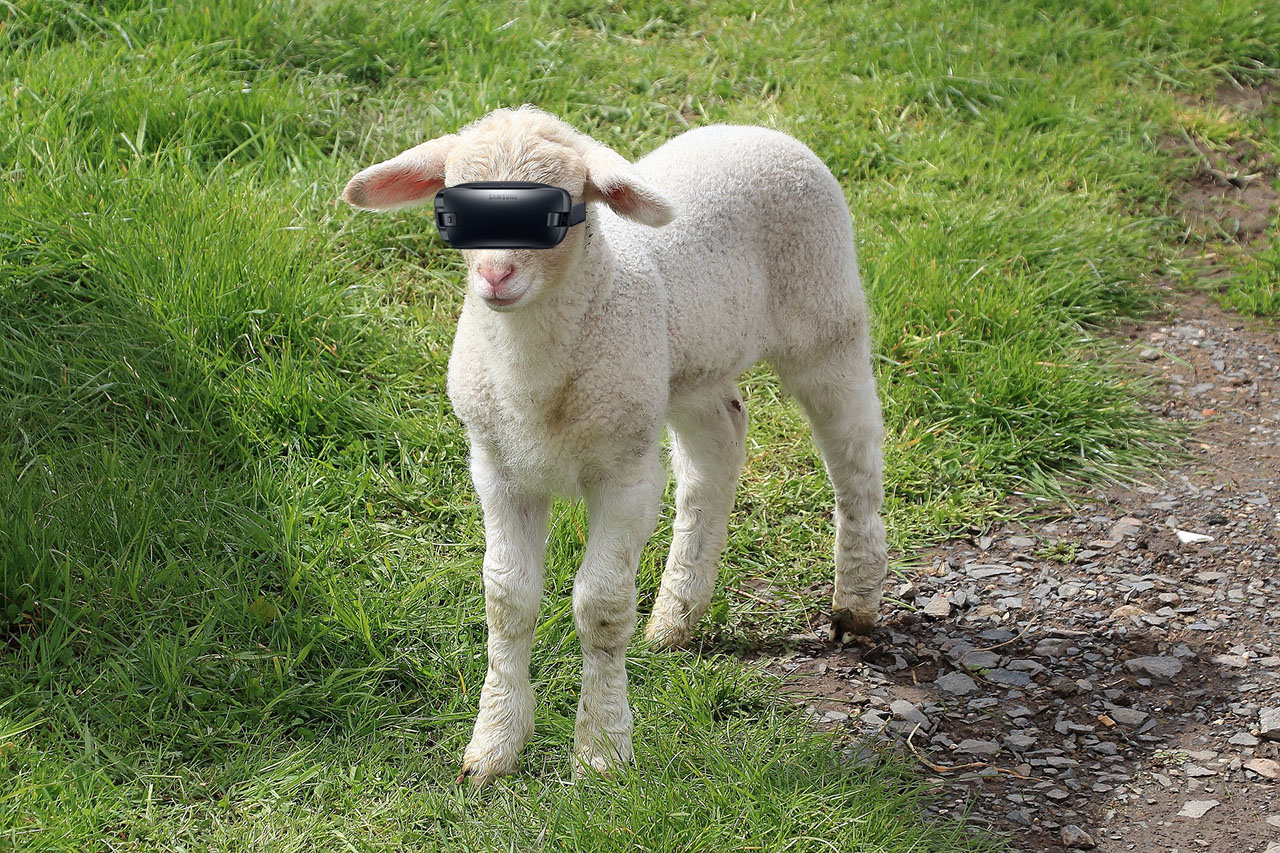 Virtual reality easter